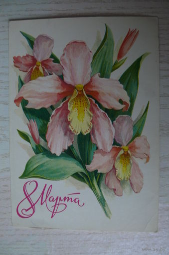 Пикунов Г., 8 Марта; 1979, чистая, ДМПК.