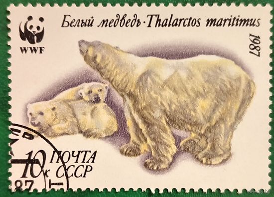 СССР 1987. Белый медведь. Марка из серии