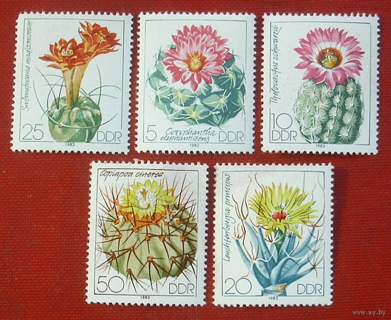 ГДР. Кактусы. ( 5 марок ) 1983 года. 8-14.