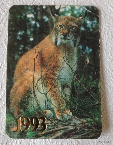 Рысь,1993г.