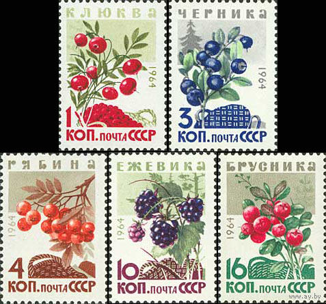 Ягоды СССР 1964 год (3132-3136) серия из 5 марок