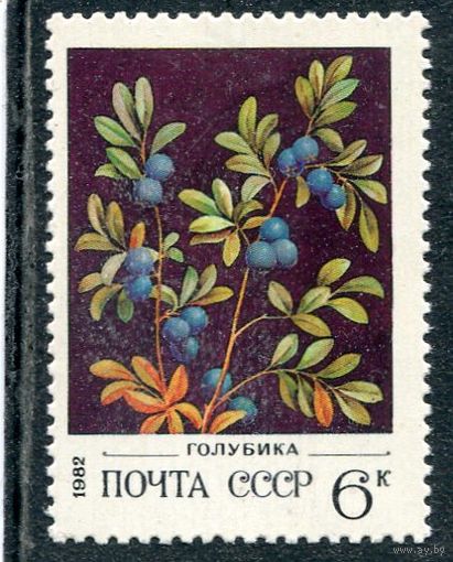 СССР 1982. Флора. Ягоды. Голубика