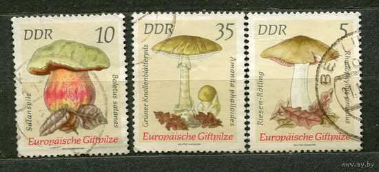 Европейские ядовитые грибы. ГДР. 1974. Серия 3 марки