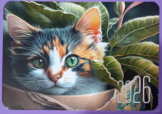 Кот. Календарик, 2026