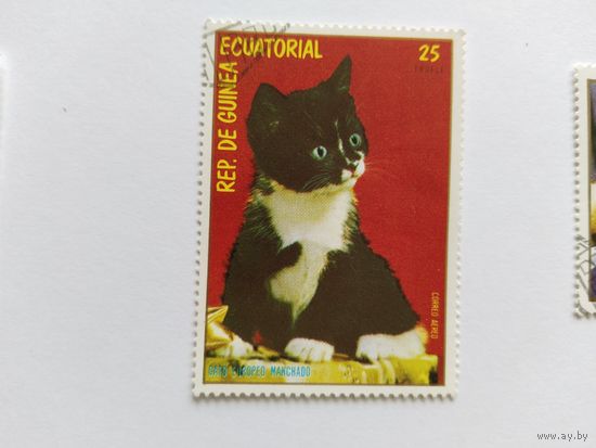 Эк.Гвинея 1972 коты
