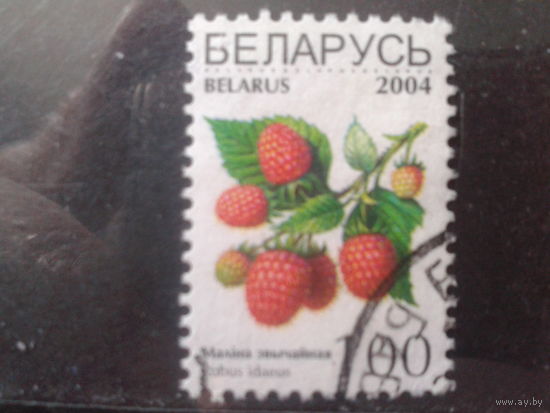 2004 Стандарт, малина