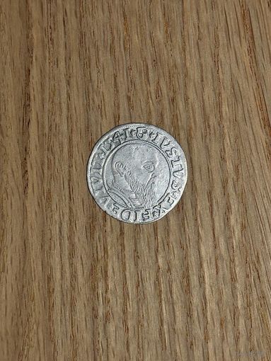 Грош 1541 года. Пруссия.