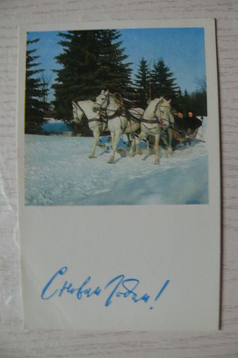 Жеванник В., С Новым годом! 1968, подписана (тройка).