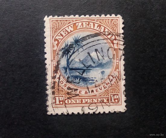 Новая Зеландия \200вк\  1898 пальмы горы