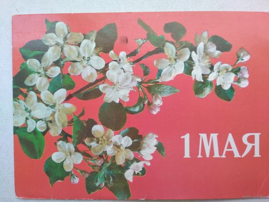 Открытка ,, 1 мая,, 1988 г., подписана
