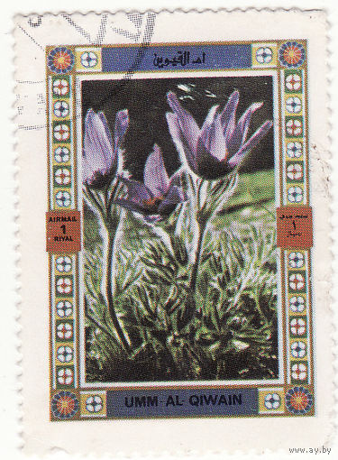 Цветы 1972 год