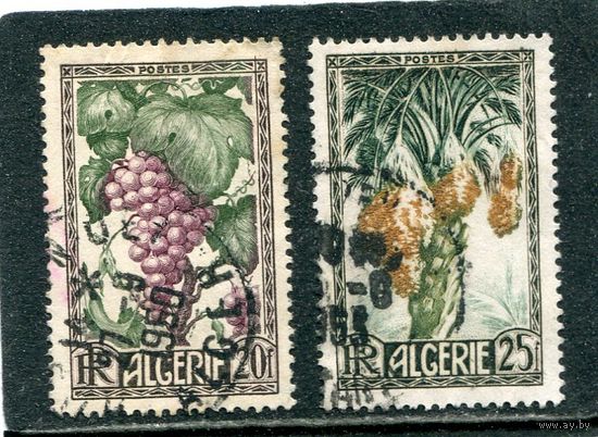 Французский Алжир. Флора, Фрукты страны