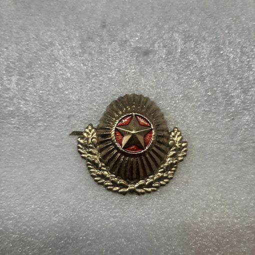 Кокарда ВС РБ, Беларусь, офицерская, капуста, #4