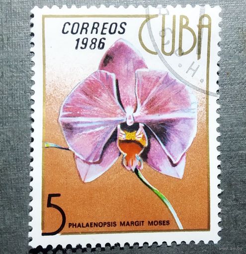 Марка Куба 1986 год Цветы