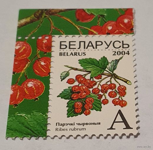 Ягоды 2004