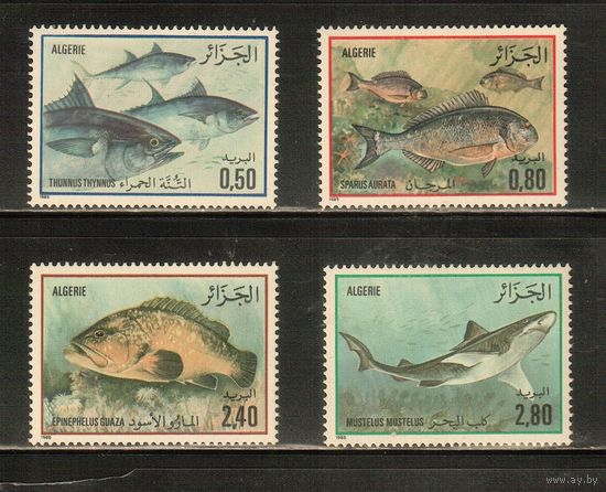 Алжир-1985(Мих.873-876) , **   ,  Морская  Фауна , Рыбы (полная серия)