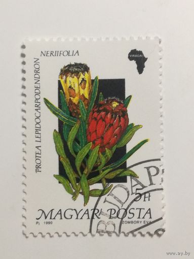 Венгрия 1990. Флора.