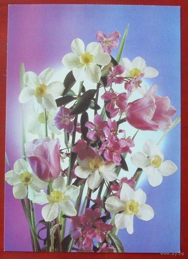 Цветы. Подписанная. 1990 года. Костенко. 767.