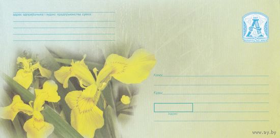 Беларусь 2007 ХМК Желтые ирисы (к1)