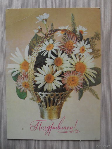 ПОДПИСАННАЯ ОТКРЫТКА СССР. 1983 ГОД. "ПОЗДРАВЛЯЮ!" фото И. ДЕРГИЛЕВА.