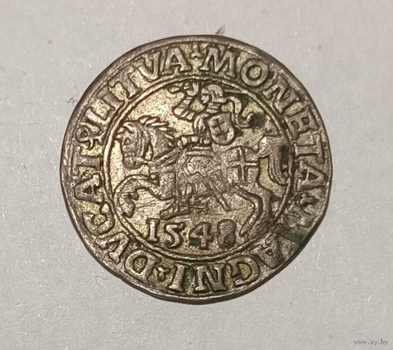 Паўгрошы Жыгiмонта II. 1548, Вильно. Хороший, не мыт