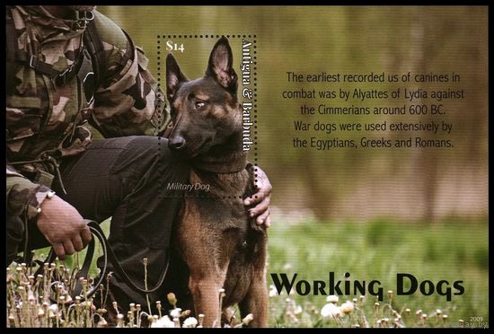 2020 Антигуа и Барбуда 5855/B812 Собаки на службе у человека 12,50 евро