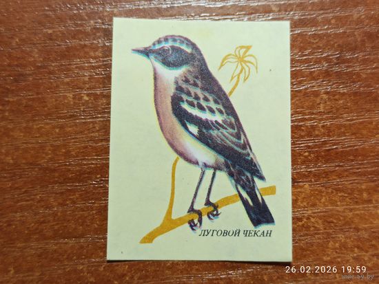 Спичечная этикетка Луговой Чекан