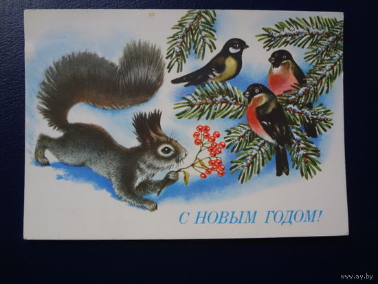 С Новым годом!  1991 г.    Белка, птички.  чистая.