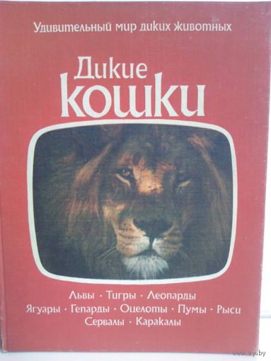 Дикие кошки Удивительный мир диких животных