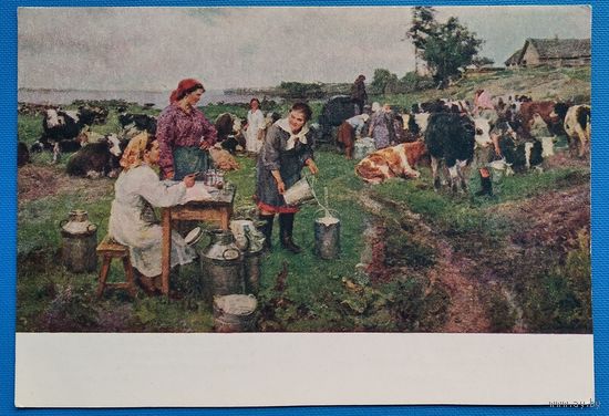 Минасян О. Доярки. Соцреализм. 1955 г. Чистая.