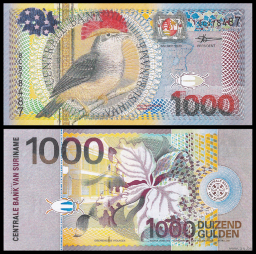 [КОПИЯ] Суринам 1000 гульденов 2000 (глянцевая)