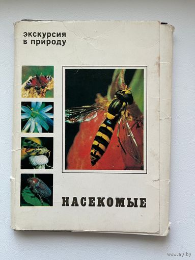 Экскурсия в природу. Насекомые. 1980 год. 23 из 25 открыток.