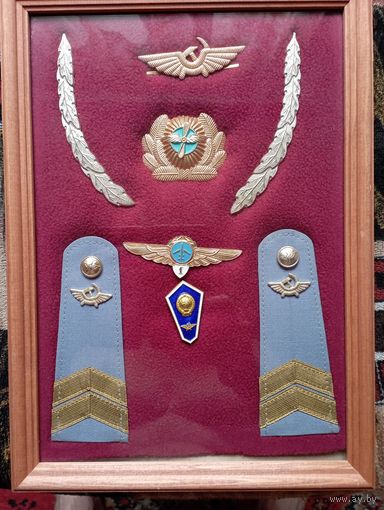 Аксессуары командира воздушного судна ГА