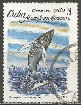 Куба. Горбатый кит. 1980г. Mi#2484.
