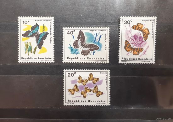 Руанда. Фауна. Бабочки (163)
