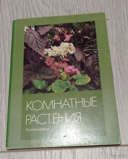 Комнатные растения. Орхидные. Набор открыток 1987 года. Издательство "Планета". Полный комплект из 16 шт.