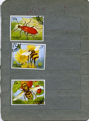 ОАЭ, ШАРДЖА,1972, насекомые  3м