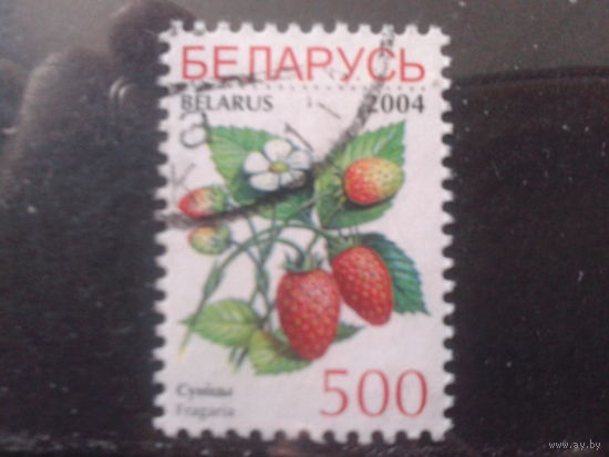 2004 Стандарт, земляника