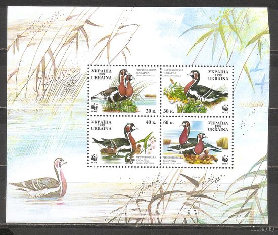 ФФ1 Украина 1998 Казарки