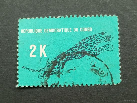 Конго 1968. Леопард
