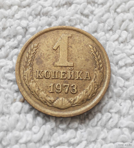1 копейка 1973 года СССР #08