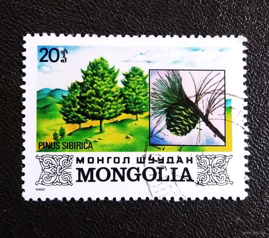 Марка Монголия 1982 год флора