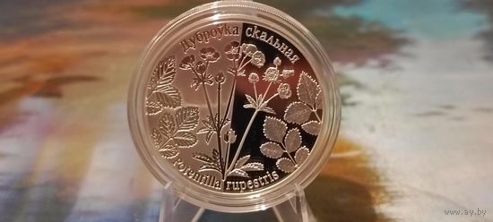 Лапчатка скальная 20 рублей Серебро!!!