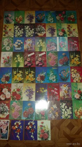Открытки чистые 53 шт.лотом.