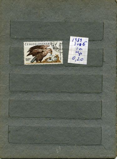 ЧССР  1989 ,  ФАУНА , ПТИЦА,. 1м серия   (на "СКАНЕ" справочно приведены номера и цены по Michel)