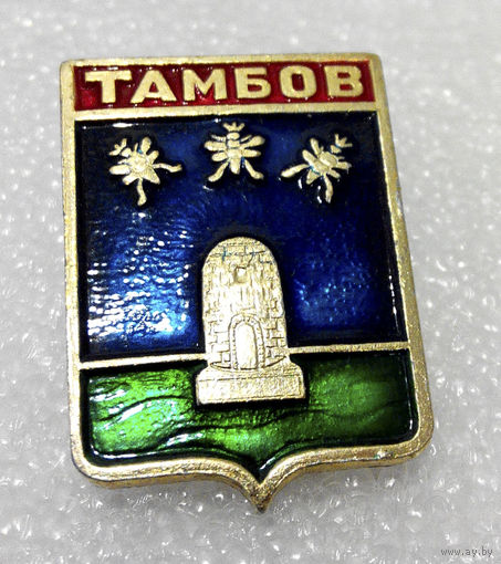 Значок. Тамбов #0787