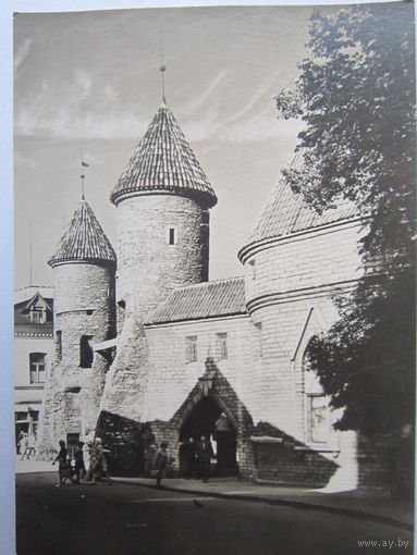 Фото. Таллинн. Вируские ворота. ЭСТГОСИЗДАТ. 1963 г.