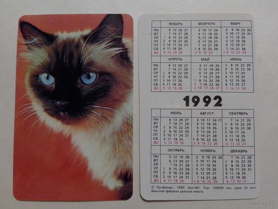 Карманный календарик. Котик.1992 год