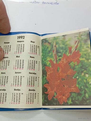 Календарь 1992 года . Справочник по садоводству . Гладиолусы . Узбекистан .