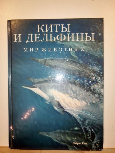 Киты и дельфины Мир животных